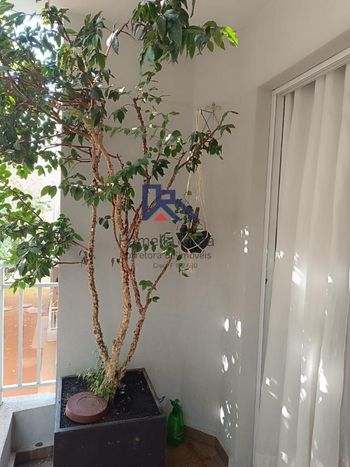 Foto 6 do(a) Apartamento de 2 quartos à venda em Quinta da Paineira, São Paulo