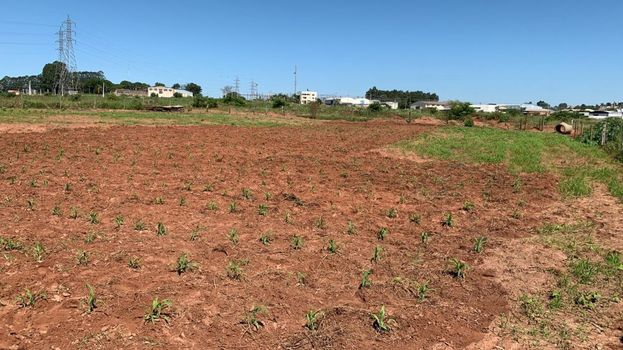 Foto 6 do(a) Terreno de 2 quartos à venda em null, Loanda