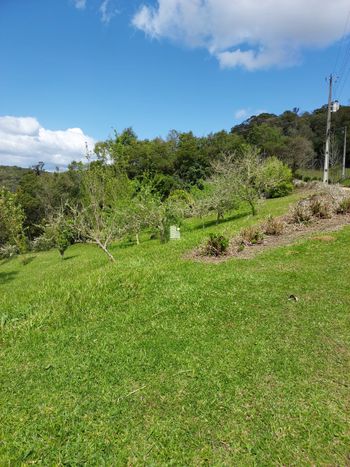 Foto 41 do(a) Casa em Condomínio de 4 quartos à venda em null, Rancho Queimado