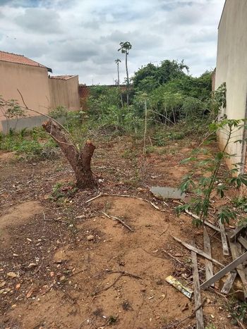 Foto 2 do(a) Terreno false à venda em Nova Saltinho, Saltinho
