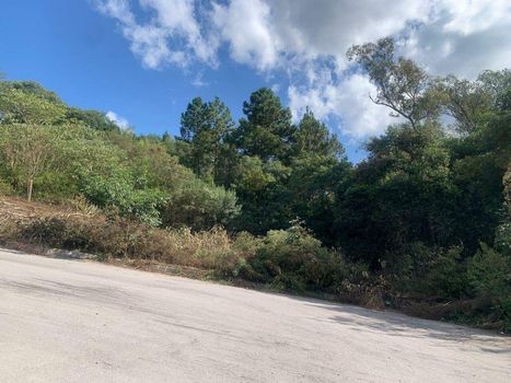 Foto 15 do(a) Terreno false à venda em Fátima, Bento Gonçalves