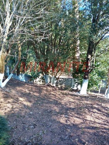 Foto 10 do(a) Fazenda / Sítio / Chácara de 2 quartos à venda em Chácaras São Judas Tadeu, Suzano